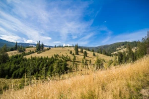 Nauka o transporcie: Klucz do efektywnej mobilności w nowoczesnym świecie